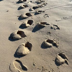 Meet your Posher, Sonia